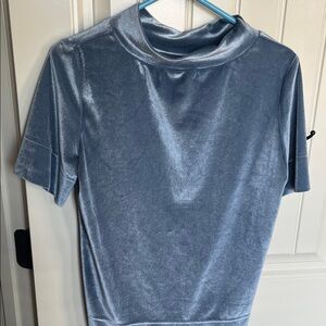 Anthropologie velvet short sleeve top